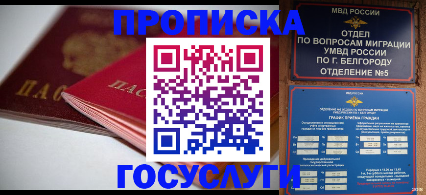 временная регистрация собственник в Балтийске
